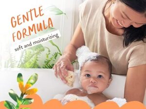 Natural ingredients in Babo Botanicals Baby Shampoo – shea butter, calendula flower, and aloe vera plant