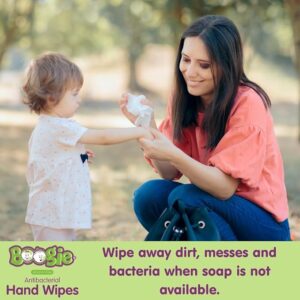 "Parents and kids cleaning hands with Boogie Hand Sanitizer Wipes alcohol-free hypoallergenic wipes"