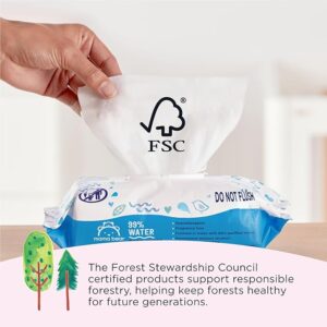 "Mama Bear wipes for diaper changes and baby hygiene 99 percent water" "Dermatologist tested Mama Bear baby wipes fragrance free Amazon brand"