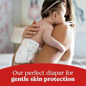 71w7dG5+vHL._AC_SX679_