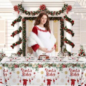 Winter Santa Baby Shower Decorations