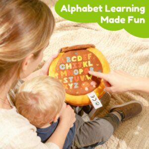 Baby Toys 6-12 Months