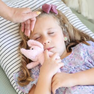 81+3tGJ60rL._AC_SL1500_