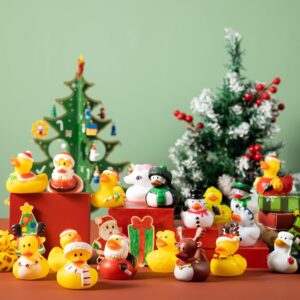 Christmas Ducks