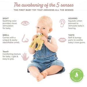 Baby holding Sophie la girafe Al’Thir The Camel teether