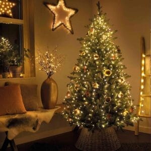 81XxJ8hL6FL._AC_SX679_